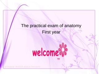 anatomy lab exam (1).ppt