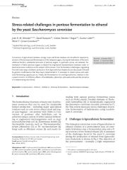 fermentation to ethanol  by the yeast Saccharomyces cerevisiae.pdf